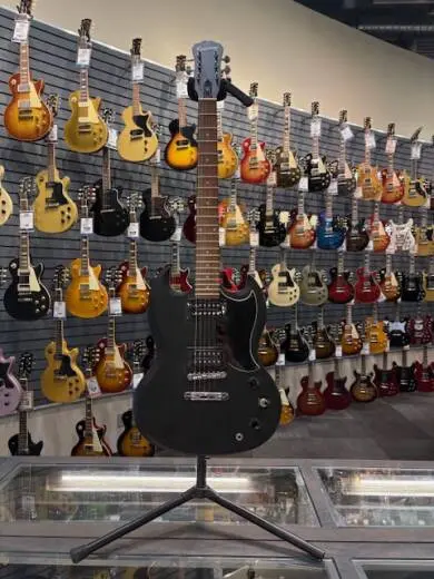 Epiphone - EGGSVVECH